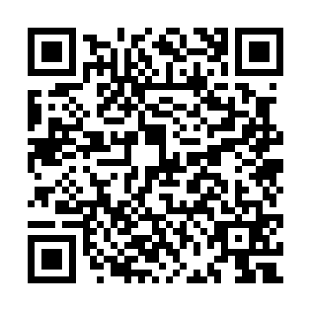 QR code for plate MFO-0611