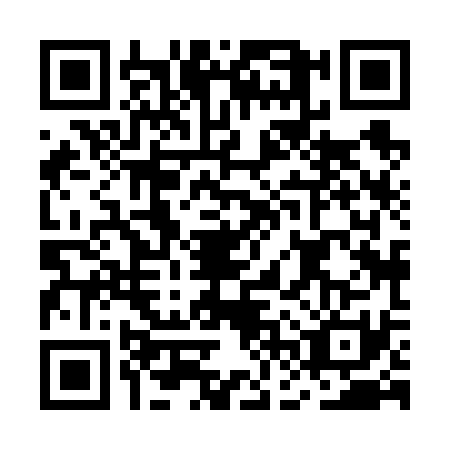 QR code for MFX6313
