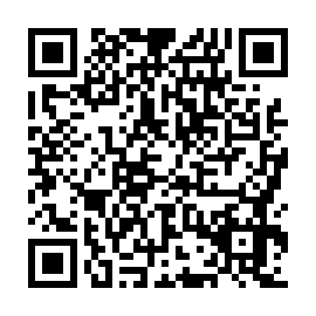 QR code for MGX4771