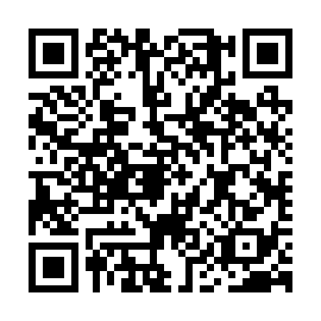QR code for MIR-2384