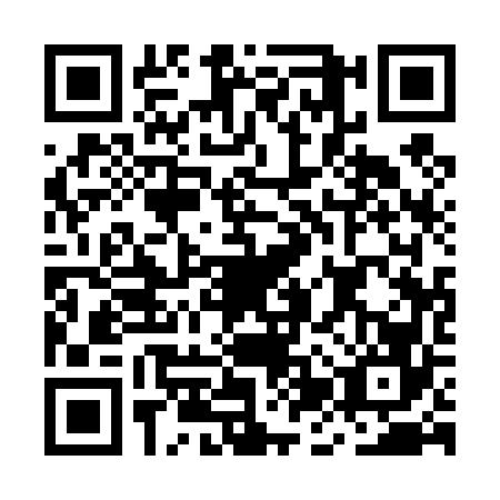 QR code for plate MJQ-4666