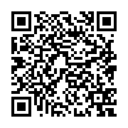 QR code for MJX1352