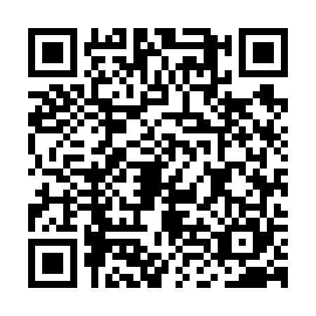 QR code for plate MLM-6653