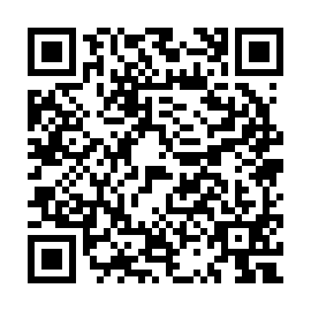 QR code for MSA-2916
