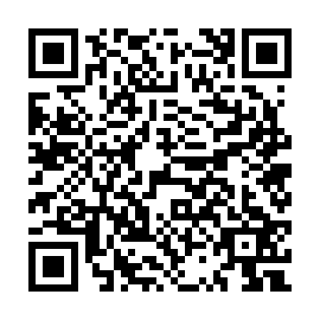 QR code for MSG2234