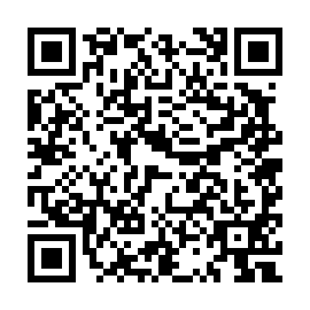 QR code for plate MSG-4916