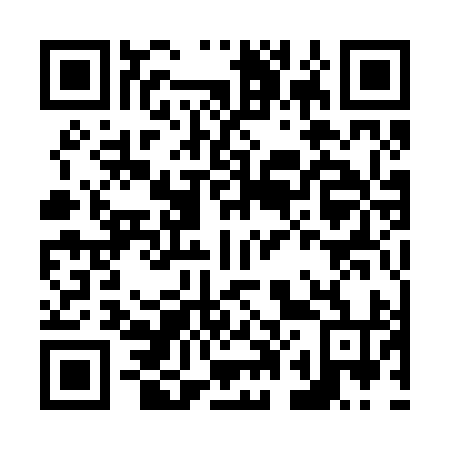 QR code for N01294