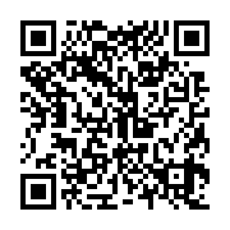 QR code for N03739