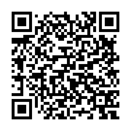 QR code for N03874