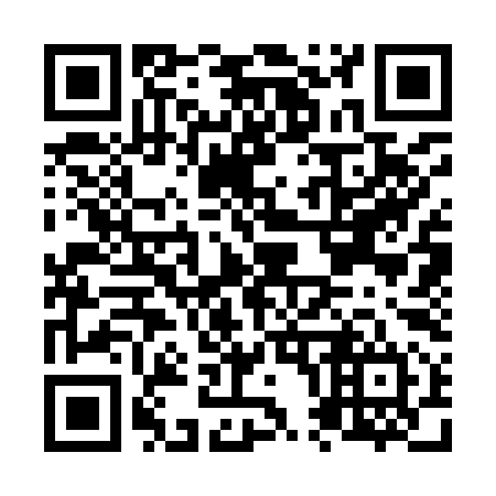 QR code for N03994