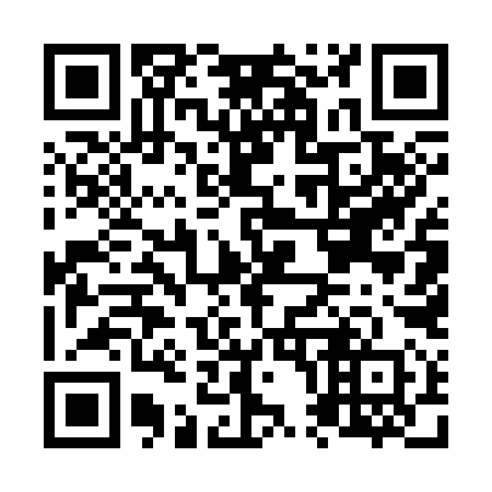 QR code for N05390
