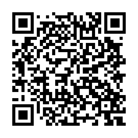QR code for N09007