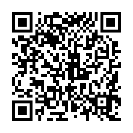 QR code for N09295