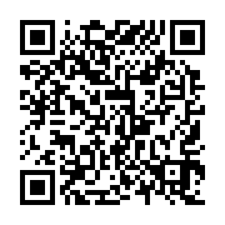 QR code for N09313