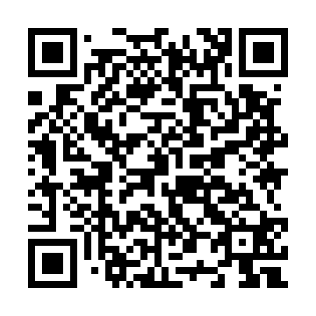 QR code for N09520