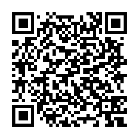 QR code for N09538