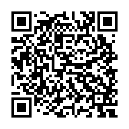 QR code for N10382