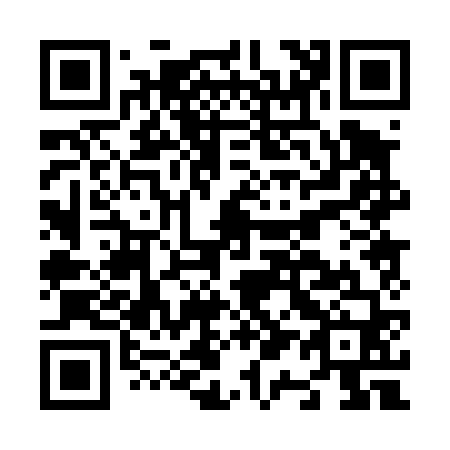 QR code for N10460