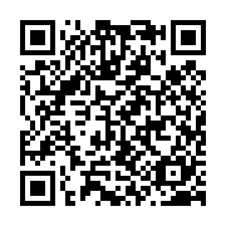 QR code for N11425