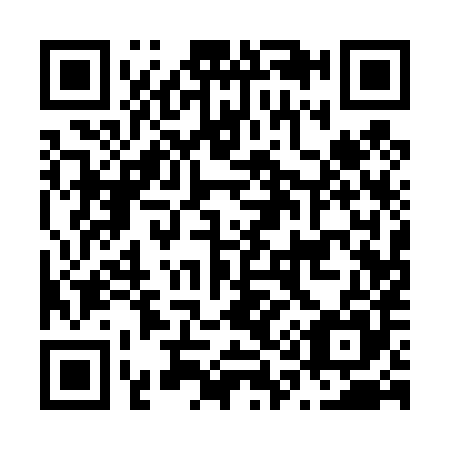QR code for N11485