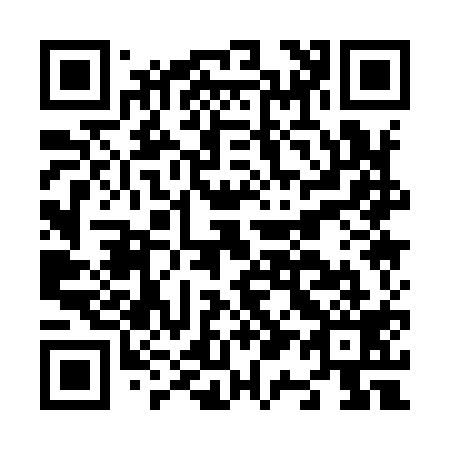 QR code for N11919