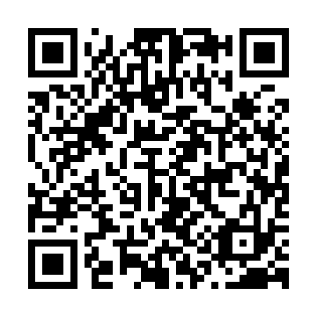 QR code for N11933