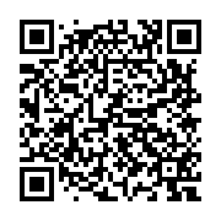 QR code for N11951