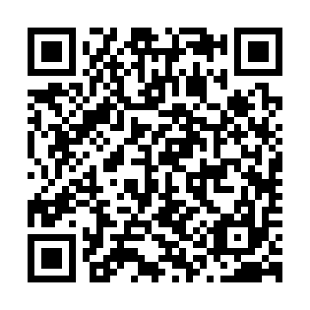 QR code for N12317