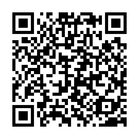 QR code for N12739