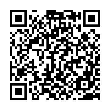 QR code for N13166