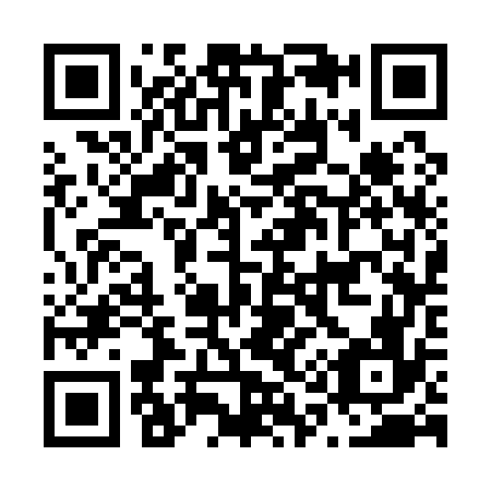 QR code for N13176