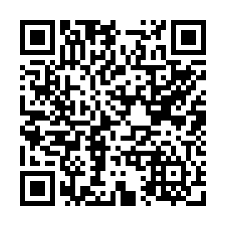 QR code for N13204