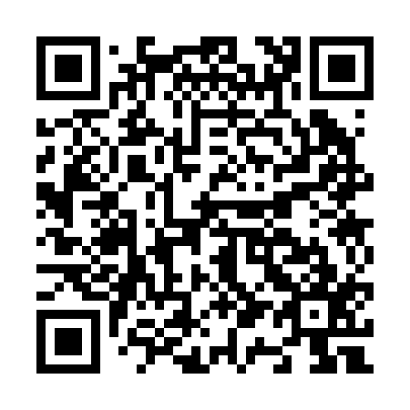 QR code for N13217