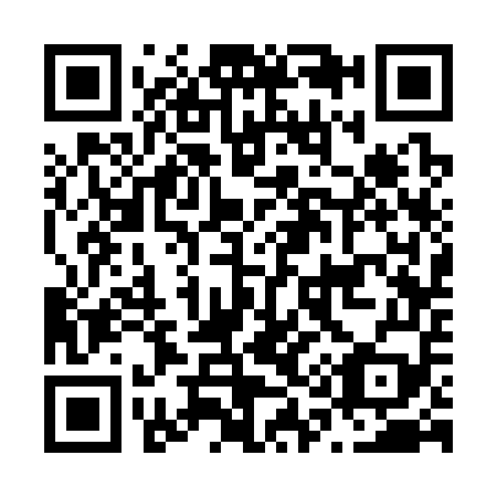 QR code for N13359