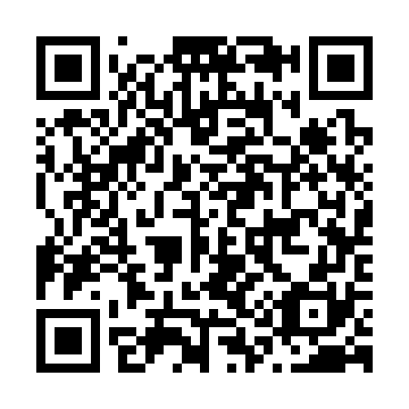 QR code for N13370