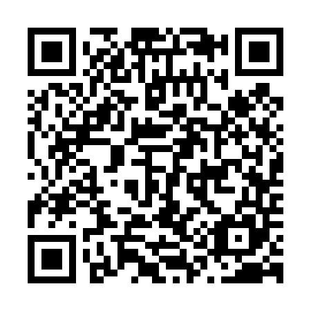 QR code for N13445