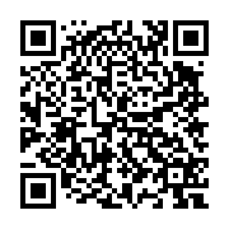 QR code for N15424