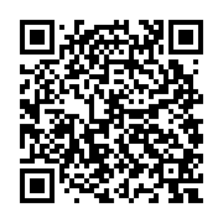 QR code for N16300