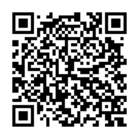 QR code for N17036