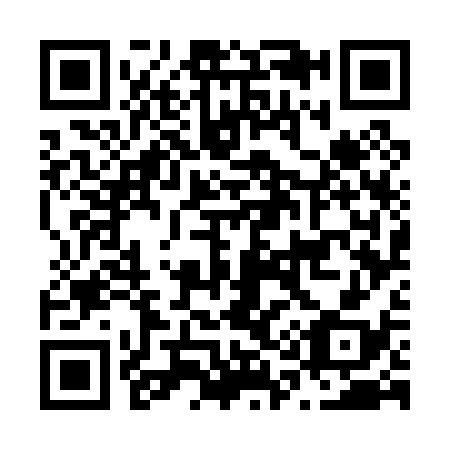 QR code for N17038