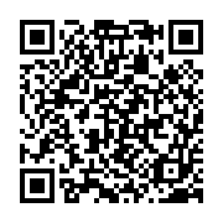 QR code for N17053