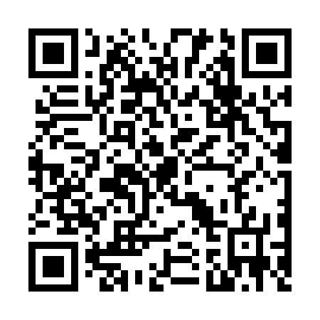 QR code for N17077