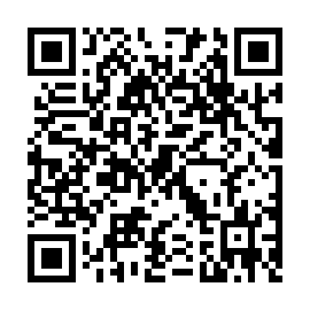 QR code for N17103