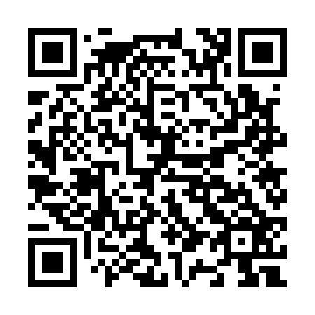 QR code for N17126