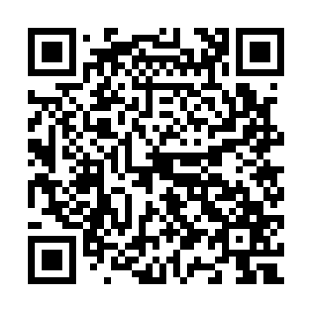 QR code for N17167