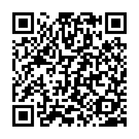 QR code for N17249