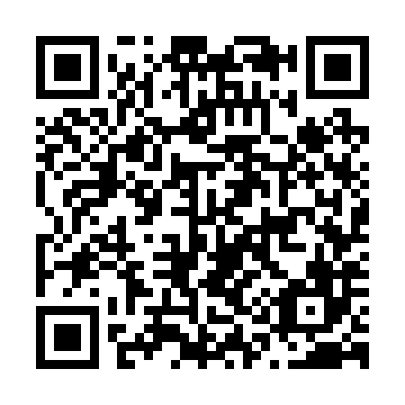 QR code for N17286