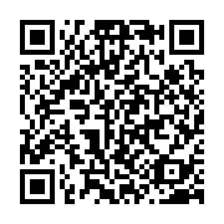 QR code for N17339
