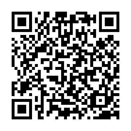 QR code for N17423