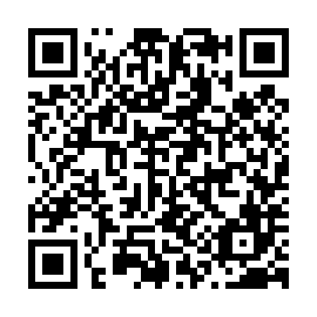 QR code for N17486
